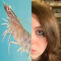YurieOnYuri - Loser Extraordinaire (@yurieonyuri) 's Twitter Profile Photo YurieOnYuri - Loser Extraordinaire (@yurieonyuri) 's Twitter Profile Photo