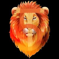 Taら🇭🇺(@Ta5_lion) 's Twitter Profile Photo
