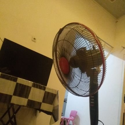 vontcy's profile picture. 