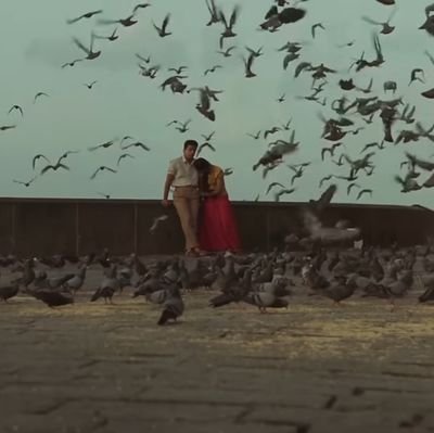 sgmarkal's profile picture. 