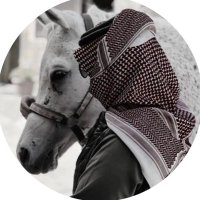 👨‍💼🇰🇼العنزي (@omar1q88) Twitter profile photo