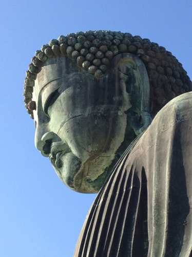 ino_ken_0724's profile picture. 