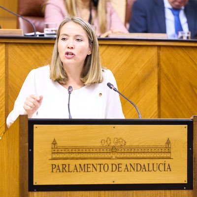 Malagueña | Diputada del PSOE 🌹en @parlamentoand | Empleada de Banca | Feminista | Padelera | #ElectricVehicleDriver.