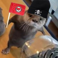 FCK NZS(@dasganzestadion) 's Twitter Profile Photo