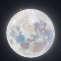 Dani (@nebuleuxturtle) 's Twitter Profile