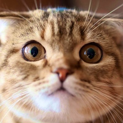 PGEnYsXV01ELsyo's profile picture. 