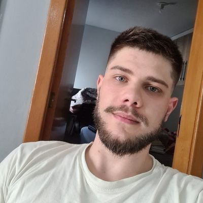software engineer
