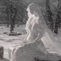 مي السراج (@maialsarraj) Twitter profile photo