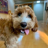 Josh Wilson (@norcal_neuro) 's Twitter Profile Photo Josh Wilson (@norcal_neuro) 's Twitter Profile Photo
