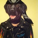 Dan Vicari - @Roaddogg53 - Twitter