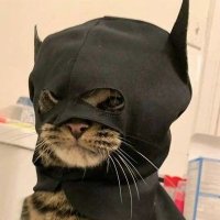 Ley (@leydotm) 's Twitter Profile