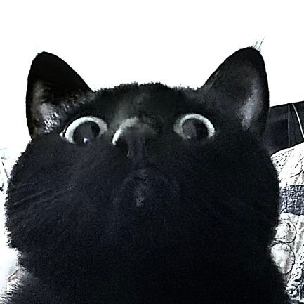 oneoddtwitchy's profile picture. I want to grow and nurture creativity in myself and others. I want to live humbly and faithfully before God. i despise the tyranny of the State.