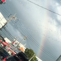 うた (@ne0gwfoh1b94054) 's Twitter Profile