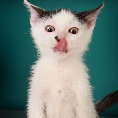 the6thleague's profile picture. don't rock out on wet floors  #followback