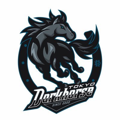 東京23区を中心に活動しているTokyo Darkhorseです🏇 |チーム目標：関東草野球リーグ2部優勝、その他オープン大会でのプロスタ決勝進出🏆 ※現在新規メンバーは募集しておりません