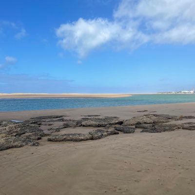 yasminc104's profile picture. 