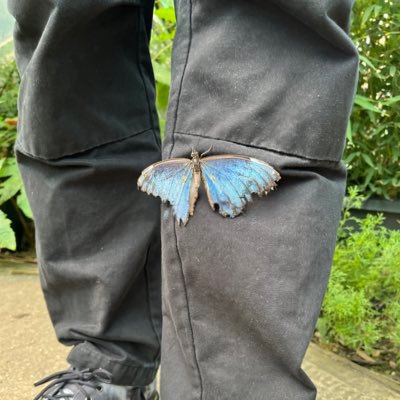 majikwords's profile picture. 1650