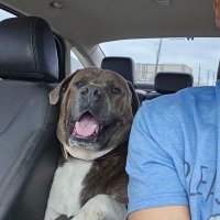 Robert Douglas (@rtrev123) 's Twitter Profile Photo