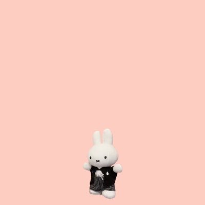 tomako1995's profile picture. 