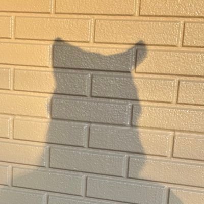 ｺｽﾌﾟﾚ🔰関東20↑168cm / 好きな時に、好きなやつ/痩せるまで何もやらないがんばる/やりたいやつ▶︎東リべ、ラブライブ!、ディアラバ