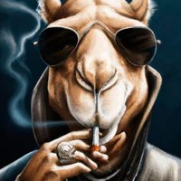 NoHoldsBarred (@aussiesteve64) 's Twitter Profile