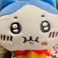 車いす隊員すみれ (@o4_q27) Twitter profile photo