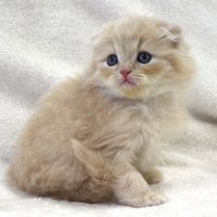 まな (@ws4xoy4uvauevs1) 's Twitter Profile