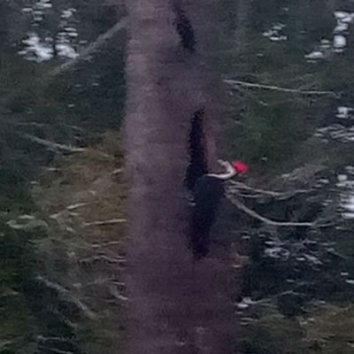 MikeFoley945's profile picture. /