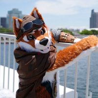 Sakura-Inu🐾桜犬🔜FWA(@Sakurainu_fur) 's Twitter Profile Photo