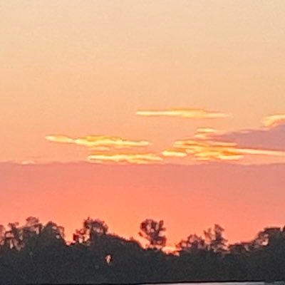 CaliRose4_4's profile picture. 