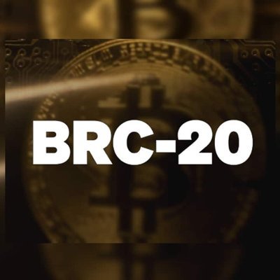 A social platform for BRC-20 holders. Features holder verification, posting, chatting, and a leaderboard.