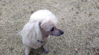 RVTwNbnh0Z95911's profile picture. 数年ごとに、きまぐれオレンジ★ロード愛が再燃する持病を抱えています😁
名古屋市出身です。
現在、三重県津市に単身赴任中です。
2011年〜2013年頃、まつもと泉先生の故郷、富山県に住んでいました。