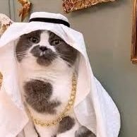 st8outtanyhamma's profile picture. Pretty fly for a white guy. Obs inte nazist