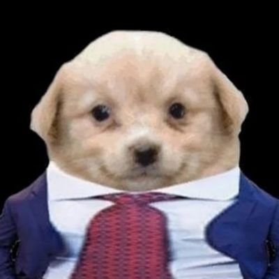 swiss_banklord's profile picture. 