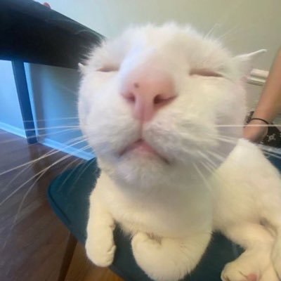 gatabuta_study's profile picture. 님의 그림이 너무 좋은데 구독해도 될까요..