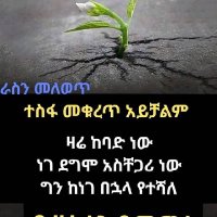 Solomon Tadesse(@Solomon81194497) 's Twitter Profile Photo