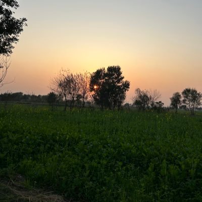 BilalAs30176518's profile picture. For done based