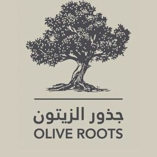 olive_roots Profile Picture