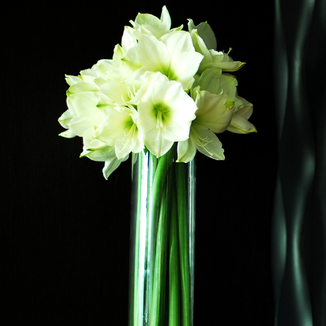 FlowerArtist's profile picture. 国内外の最高峰のフラワーアーティストのみを限定してセレクトした『FLOWER ARTIST』http://t.co/KR49JCACLCのオフィシャルブログです！常にフラワーアーティスト最新情報を配信します。