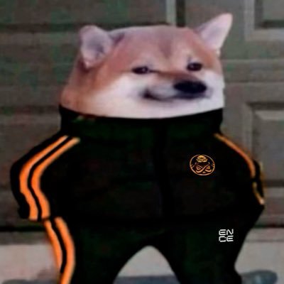 23/2002 cs2 player LFT Twitch: S1rva IG: veetisirva veeti.sirva@gmail.com
https://t.co/XMt3pwiRoG