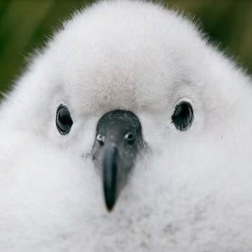 coramred's profile picture. 인생 좀 막 삼 / 상시 분조장맨입니다 지나가세요 / 저를 탐라에 둔다는 건 그런 겁니다 / 블언블 다 맘대러 하세여`~` 저도 제 맘대로 함ㅇㅇ