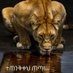 Tamiru Urgessa (@urgessatamiru) Twitter profile photo Tamiru Urgessa (@urgessatamiru) Twitter profile photo