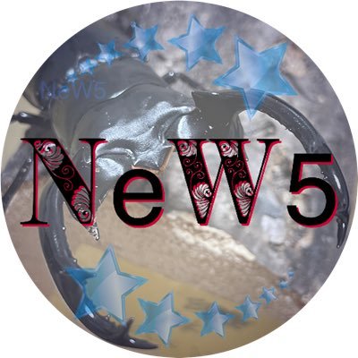NeW5_Dorcus's profile picture. クワカブ✨現在飼育種を絞り、ウエストウッディ原名亜種カリンポン・DV、能勢SR、ユダイクスミヤマ、オーベルチュールクロツヤシカ✨無言フォロー失礼します🙇‍♂️