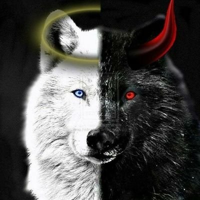 asdporali83's profile picture. 