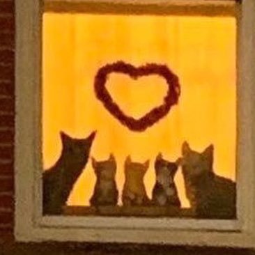 ksnmm_'s profile picture. 