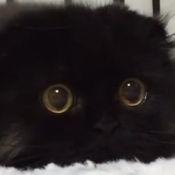 しろ☺︎さんのプロフィール画像
