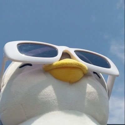 zinnnpo's profile picture. 