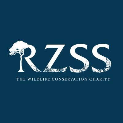 RZSS is a wildlife conservation charity with a bold vision: a world where nature is protected, valued & loved 💚
Visit our zoos ➡️ @EdinburghZoo @HighlandWPark