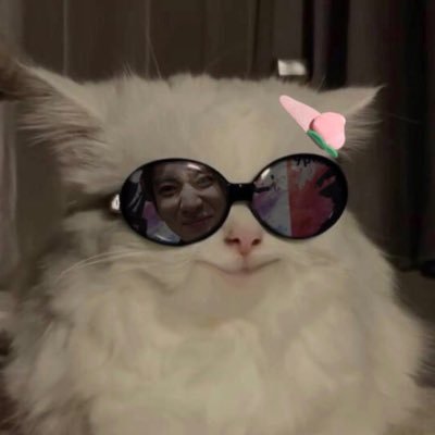 Taigasoftpalate's profile picture. なんでMYOJOのJr.大賞ってキモいアイドルランキングないんだろう。あったらモチベーションになって、今頃もっとキモくなってたのに。