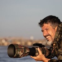 Néstor Pérez-Méndez (@nperezmendez) 's Twitter Profile Photo Néstor Pérez-Méndez (@nperezmendez) 's Twitter Profile Photo